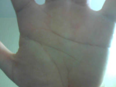 Андрей Стасенко