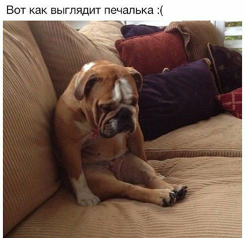 Ольга Ольга