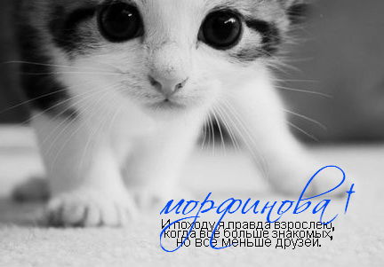 Морфинова †