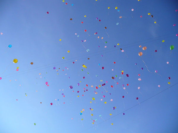 Анастасия Ведиборенко