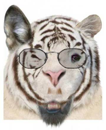 Азиоп Азиопыч