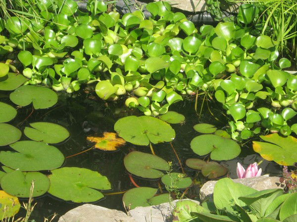 Оля Иванова