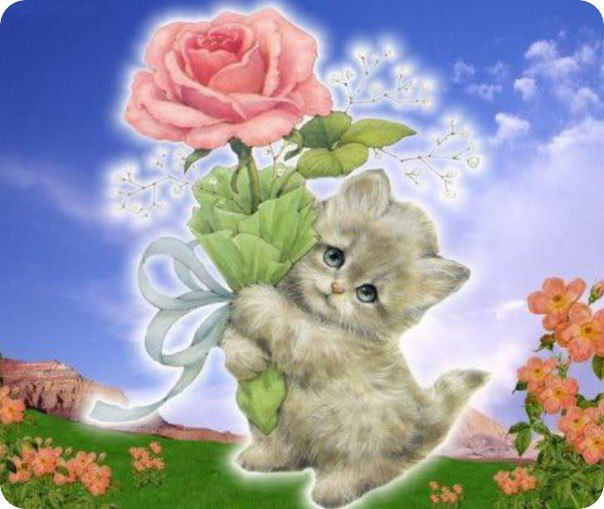 Светлана****