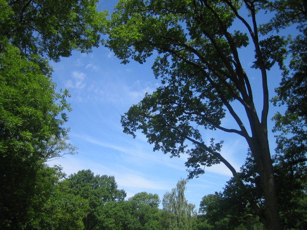 Максим Присяжнюк