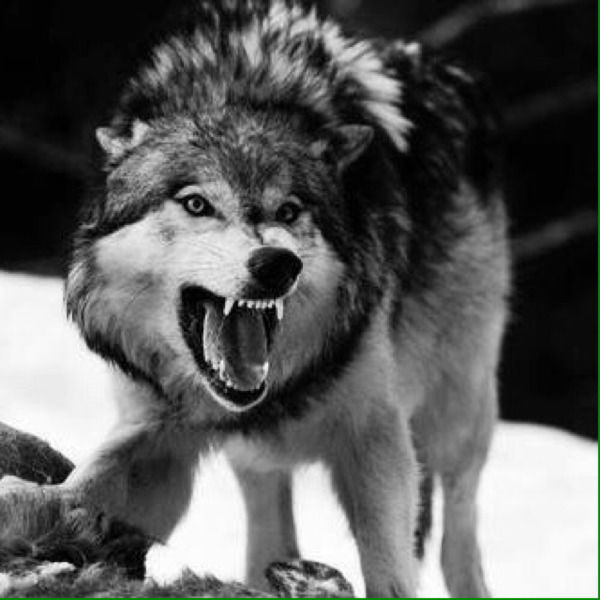 Неизвестно Неизвестно