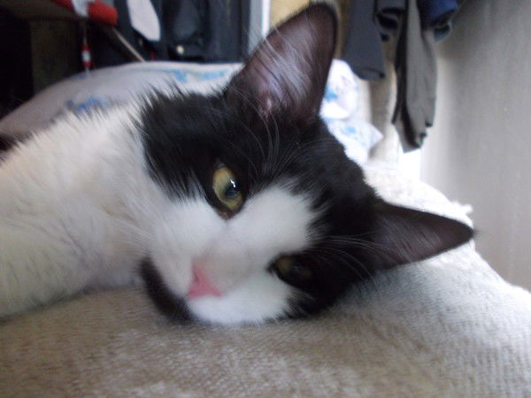 Юлий Шурупкин