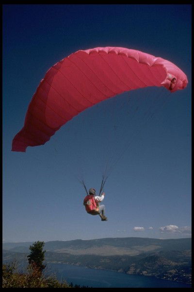 Александр Жила