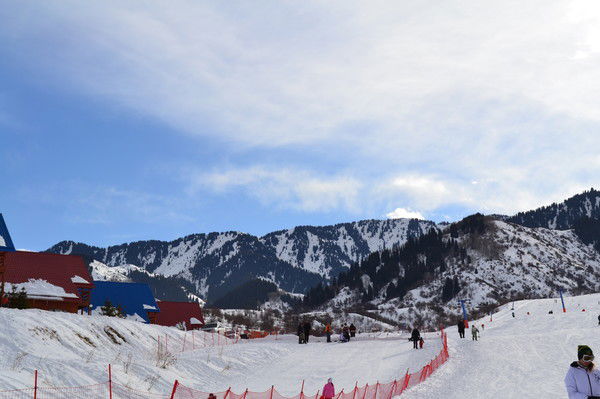 Ольга Сычёва (Гудкова)