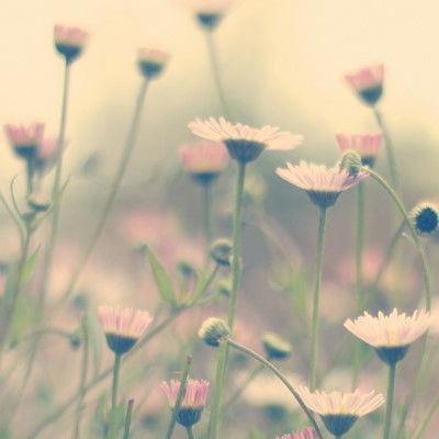 Лиза Кирсанова