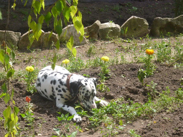 Светлана Кормакова