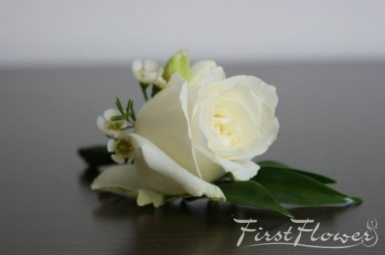 Светлана Виеру