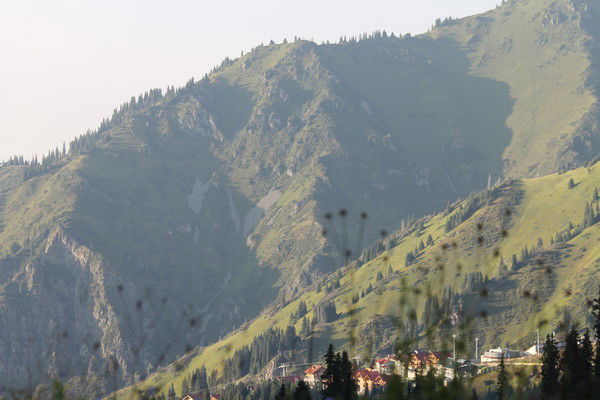 Ерлан Абишев