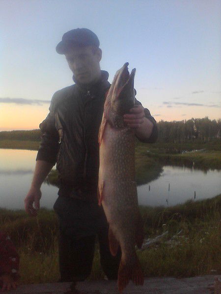 Колян Галустян