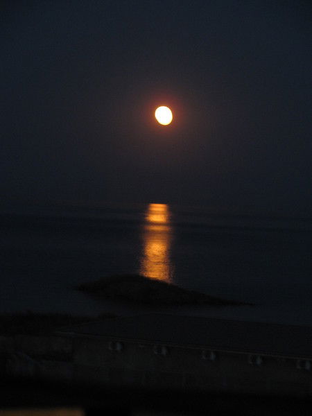 Елена Тедеева(Коробейникова)