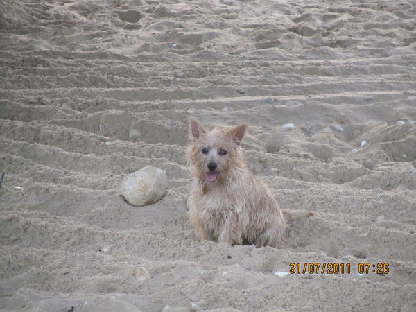 Юля Усачева