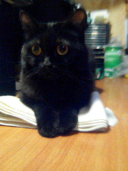 Катерина =)))