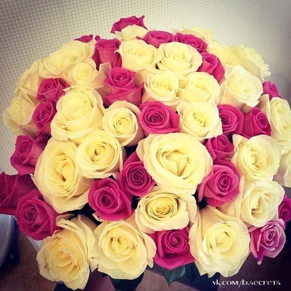 Гульсара Адамжанова