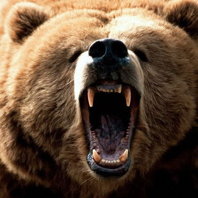 Дмитрий Дмитрий