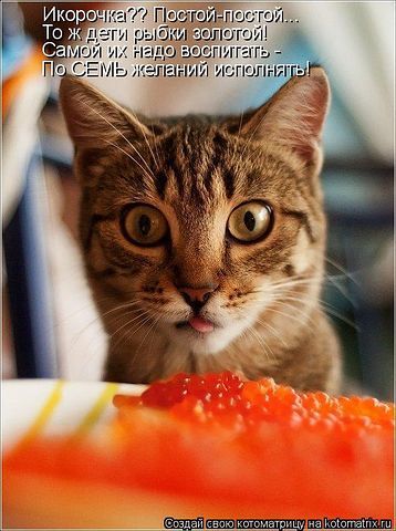 Любовь Венгрова