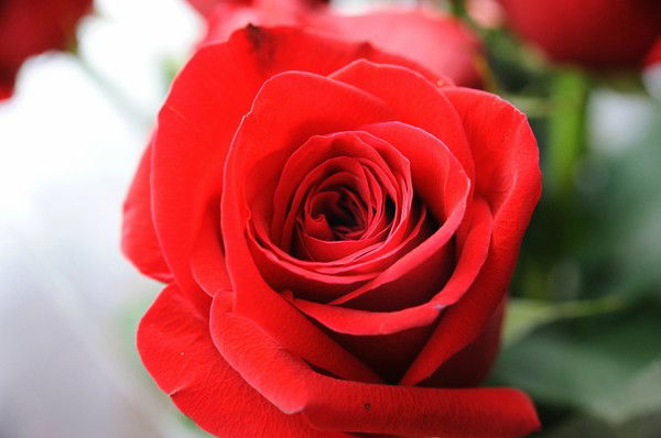 Юлия Фотограф