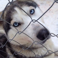 Екатерина Лазарева