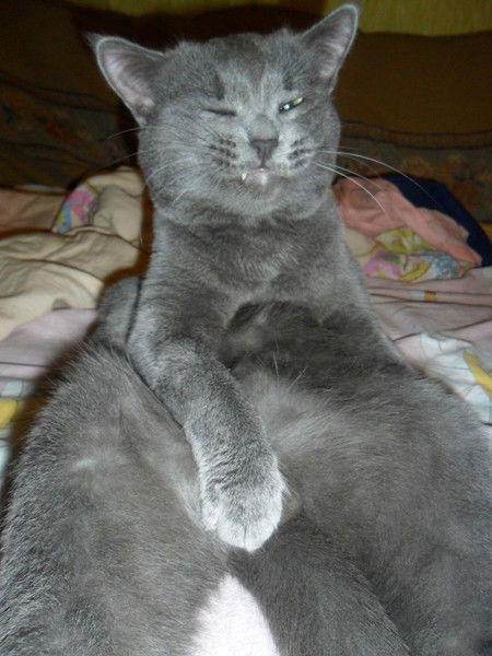 Елизавета Бунькова