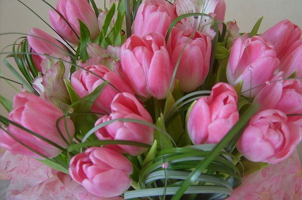 Елена Новикова