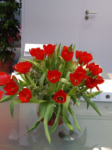 Нина Кочепасова