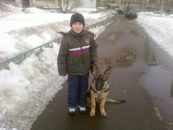 Андрей Петров