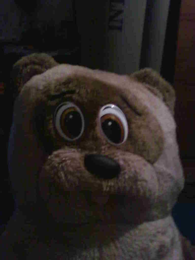 Евгений Нечаев