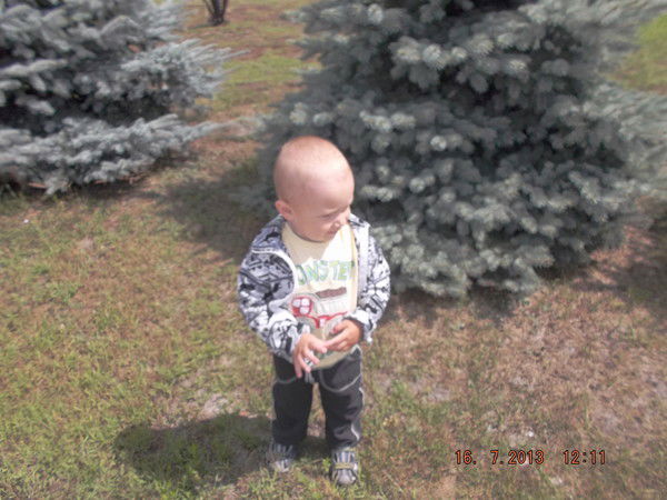 Алеся Городецкая