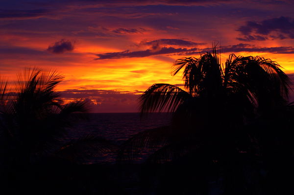 Игорь Егоров