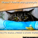 Марина Голубь
