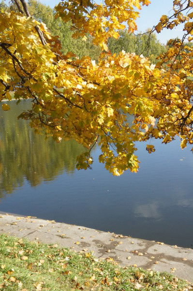 Анна Давыдова