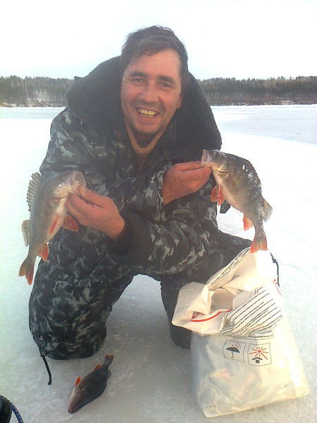 Алексей Мешков