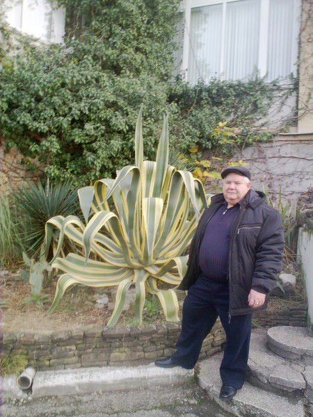 Сергей Корольков