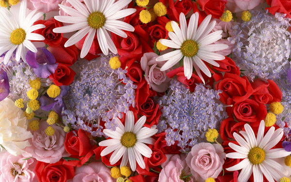 Мария Бушманова