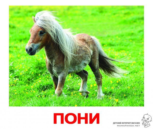 Баян Жуманберди