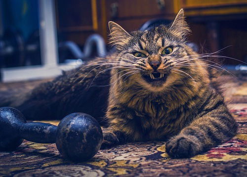 Евгений Видеонаблюдение