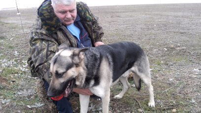 Игорь Ломаченко