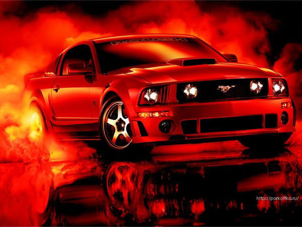 Никита Майоров