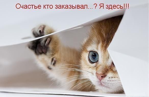 Петр Самохин