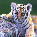 Марина Филинова