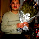 Andrei Libert