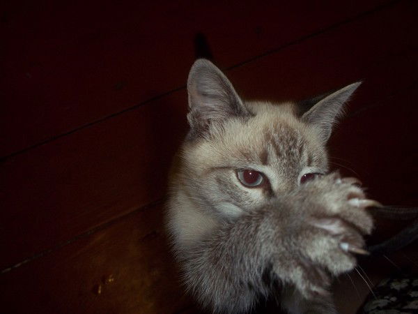 Маша Егорова