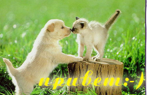 Ксюша Вепро