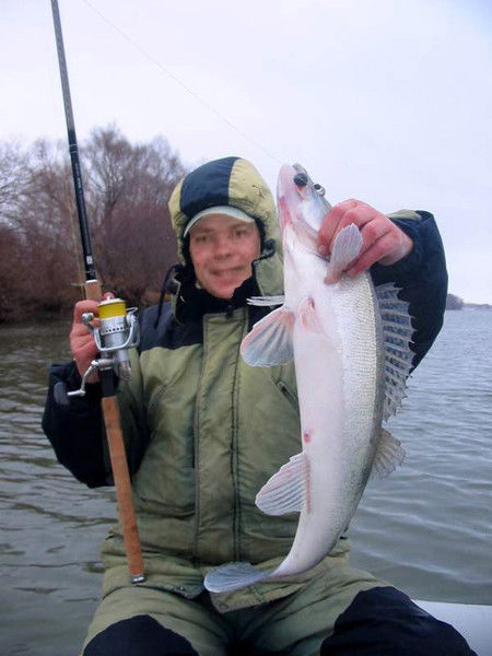 Андрей Куитин