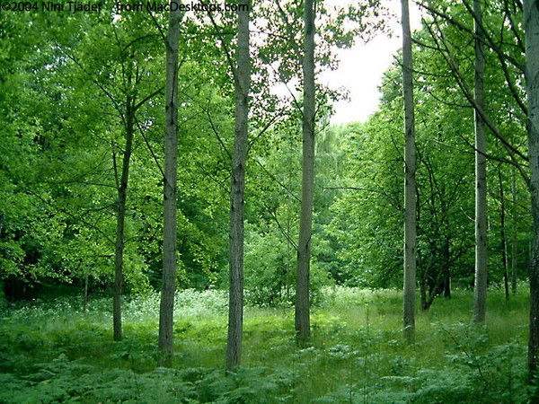 Ержанов Кабул