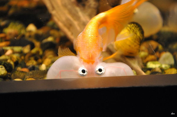 Юся Сазонова