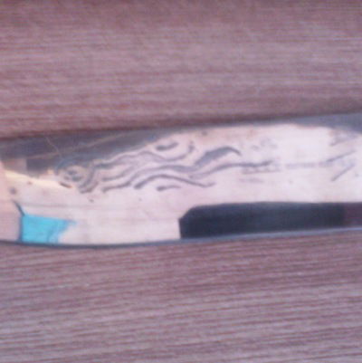 Алексей Болгов